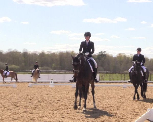 Reitturnier Bremervörde/Reitsportzentrum 2021