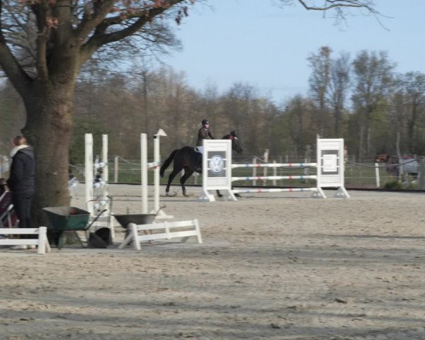 Reitturnier Handorf 2021