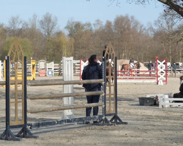Reitturnier Handorf 2021