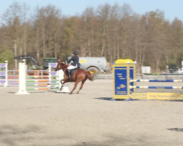 Reitturnier Handorf 2021