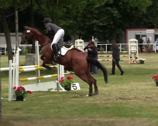 broodmare Lena Lotta (Trakehner, 2004, from Heraldik xx)