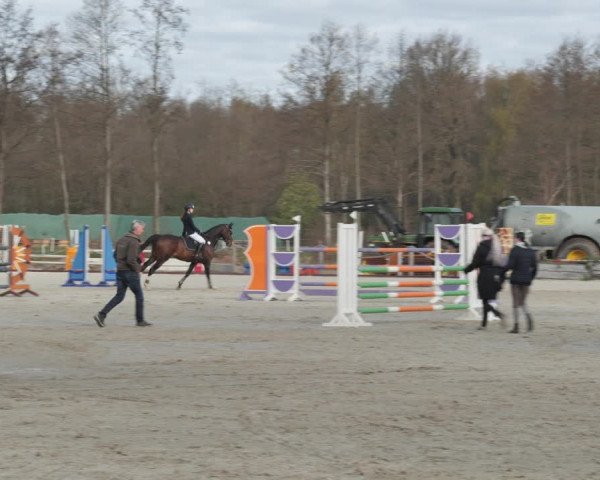 Reitturnier Handorf 2021