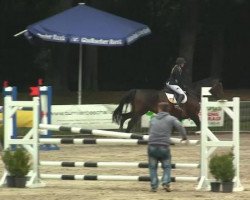 jumper Equus Magnus (Hanoverian, 2004, from Embassy I)