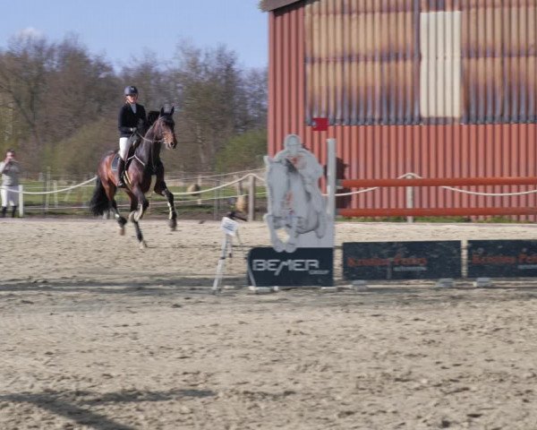 Reitturnier Handorf 2021