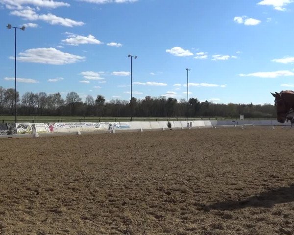 Reitturnier Bremervörde/Reitsportzentrum 2021