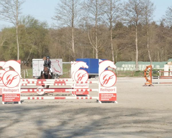 Reitturnier Handorf 2021