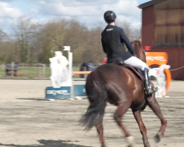Reitturnier Handorf 2021
