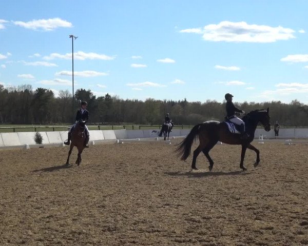 Reitturnier Bremervörde/Reitsportzentrum 2021