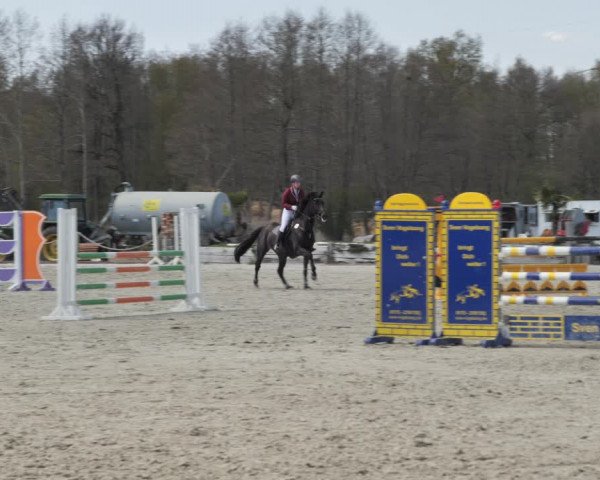 Reitturnier Handorf 2021
