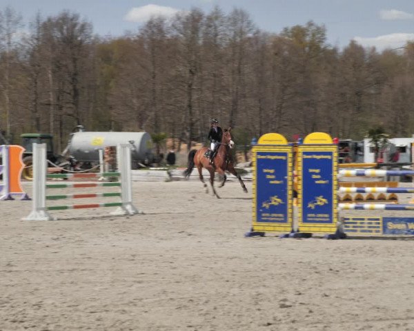 Reitturnier Handorf 2021