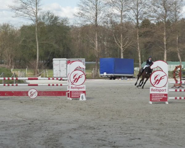 Reitturnier Handorf 2021