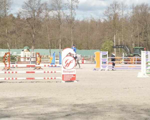 Reitturnier Handorf 2021