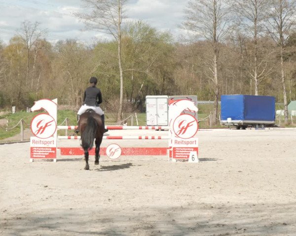 Reitturnier Handorf 2021