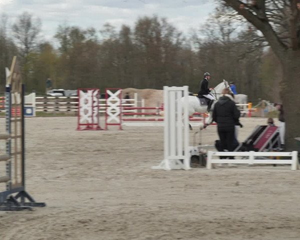 Reitturnier Handorf 2021