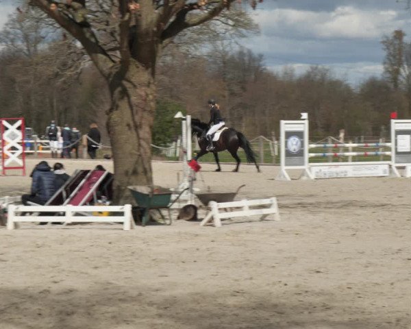 Reitturnier Handorf 2021