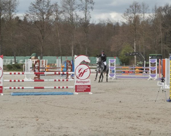 Reitturnier Handorf 2021