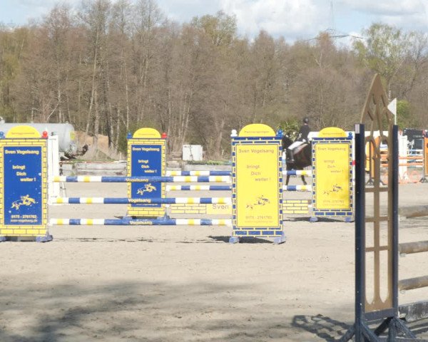 Reitturnier Handorf 2021