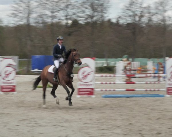 Reitturnier Handorf 2021