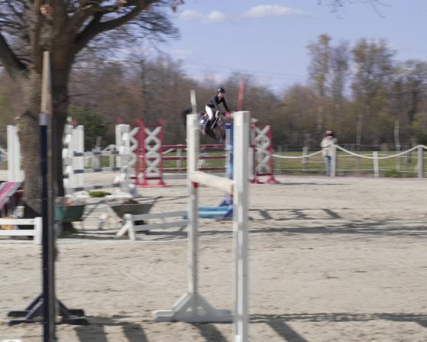 Reitturnier Handorf 2021
