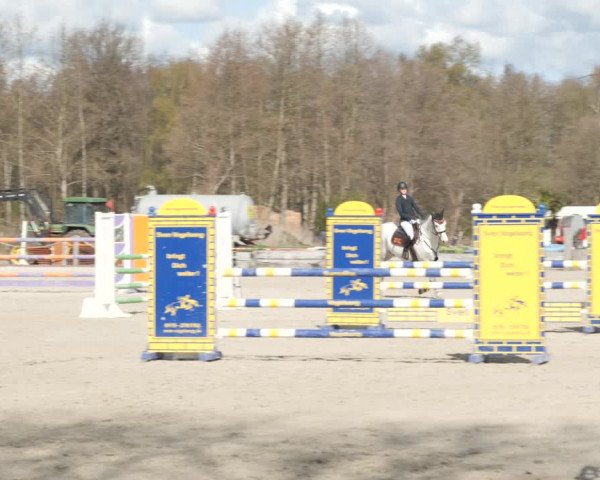 Reitturnier Handorf 2021