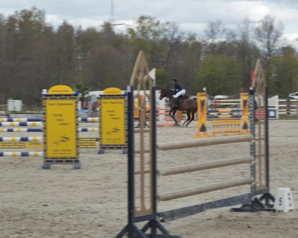 Reitturnier Handorf 2021