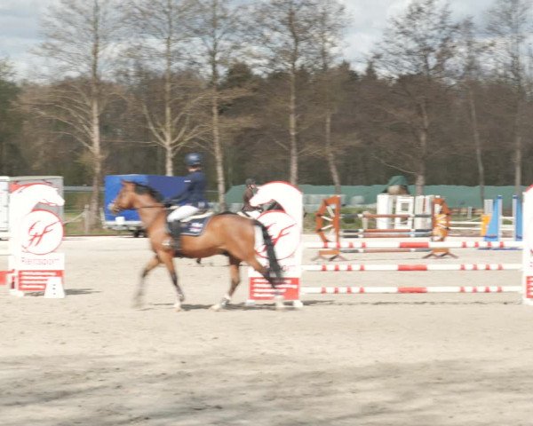 Reitturnier Handorf 2021