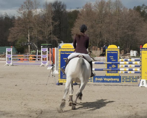 Reitturnier Handorf 2021