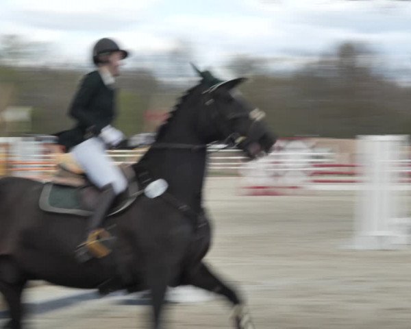 Reitturnier Handorf 2021