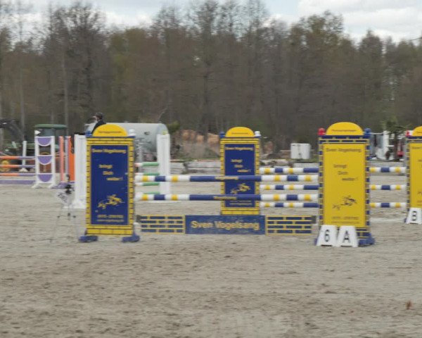 Reitturnier Handorf 2021