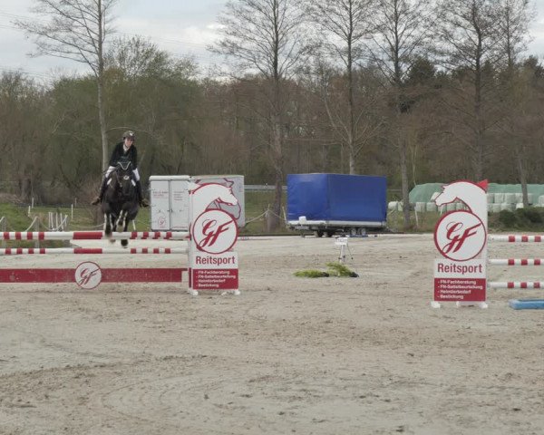 Reitturnier Handorf 2021