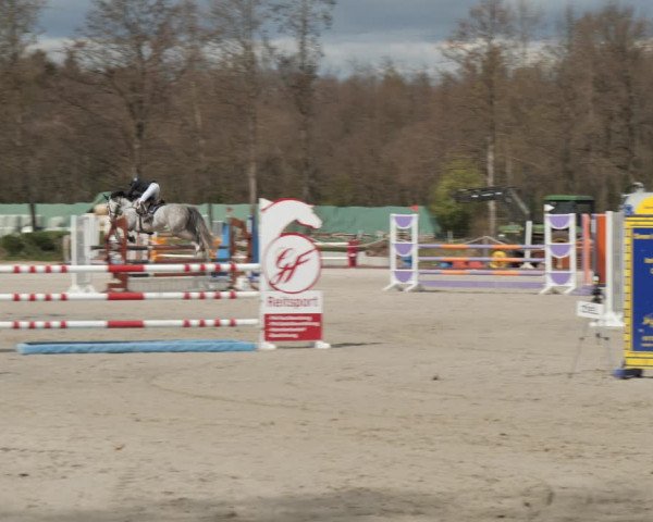 Reitturnier Handorf 2021