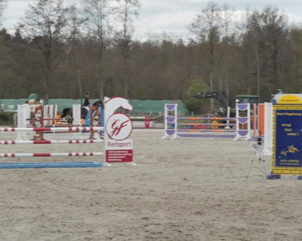 Reitturnier Handorf 2021