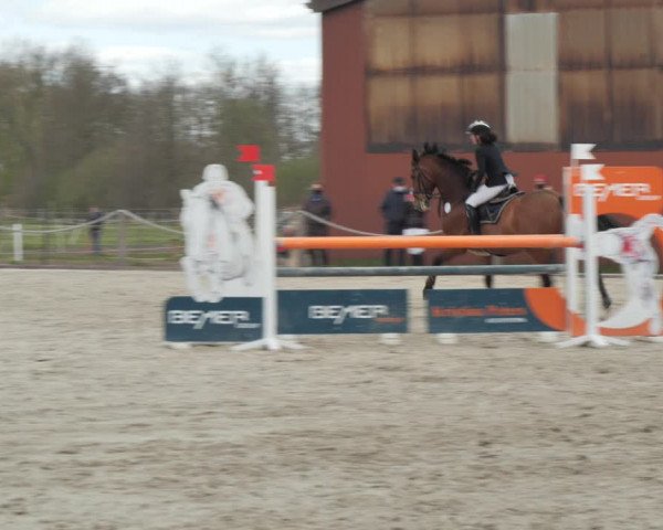Reitturnier Handorf 2021