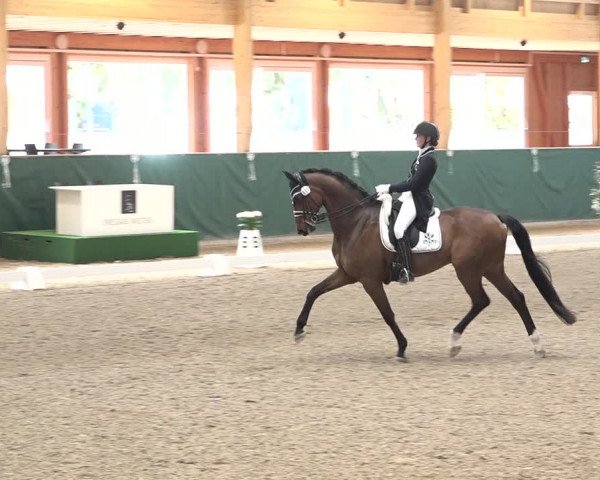 Reitturnier Dielsdorf, Horsepark 2021