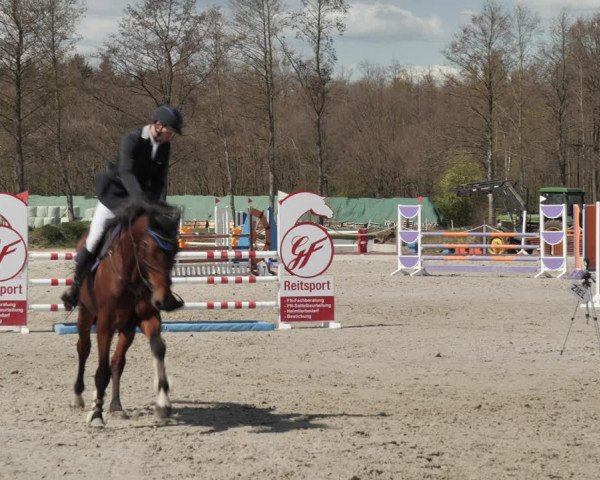 Reitturnier Handorf 2021