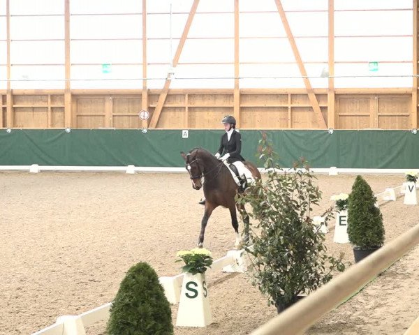 Reitturnier Dielsdorf, Horsepark 2021