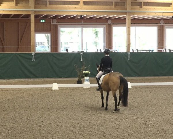 Reitturnier Dielsdorf, Horsepark 2021