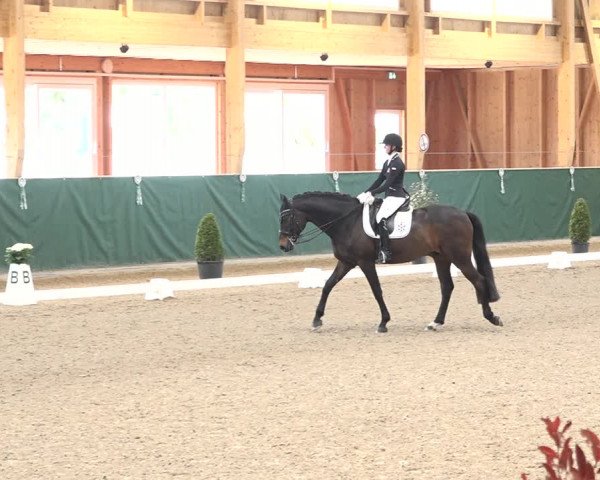 Reitturnier Dielsdorf, Horsepark 2021