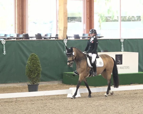Reitturnier Dielsdorf, Horsepark 2021