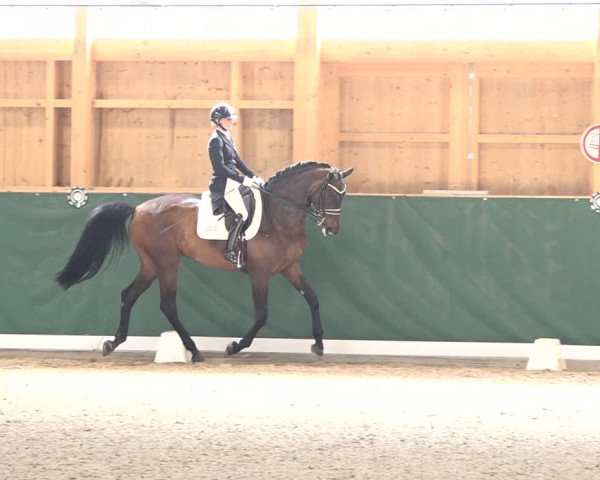Reitturnier Dielsdorf, Horsepark 2021