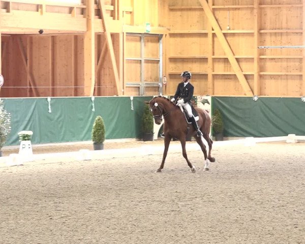 Reitturnier Dielsdorf, Horsepark 2021