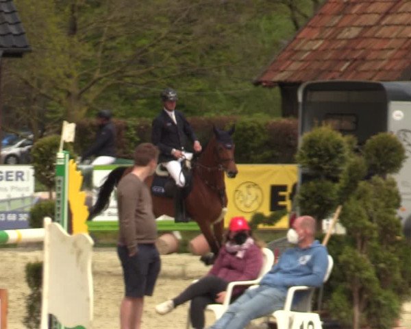 Reitturnier Münster-Handorf 2021