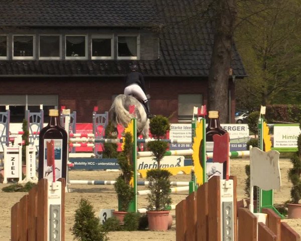 Reitturnier Münster-Handorf 2021