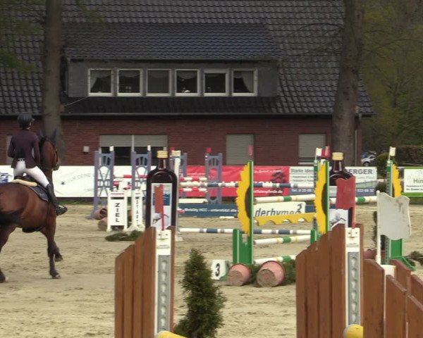 Reitturnier Münster-Handorf 2021