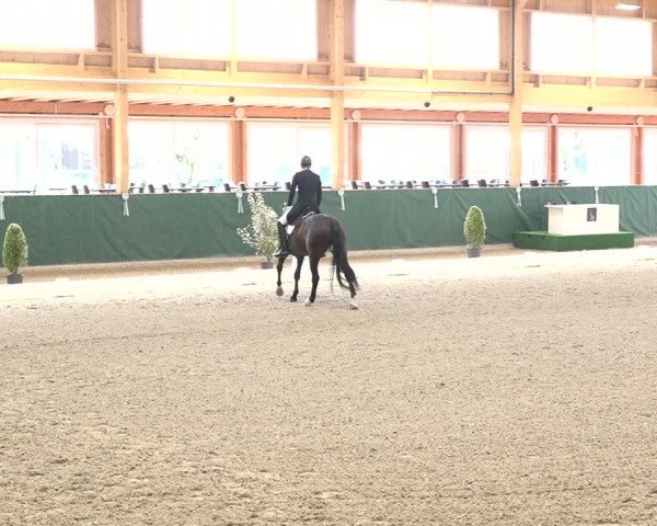Reitturnier Dielsdorf, Horsepark 2021
