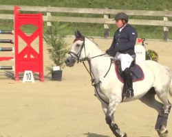 Springpferd Atlantica 12 (Polnisches Warmblut, 2004, von William)