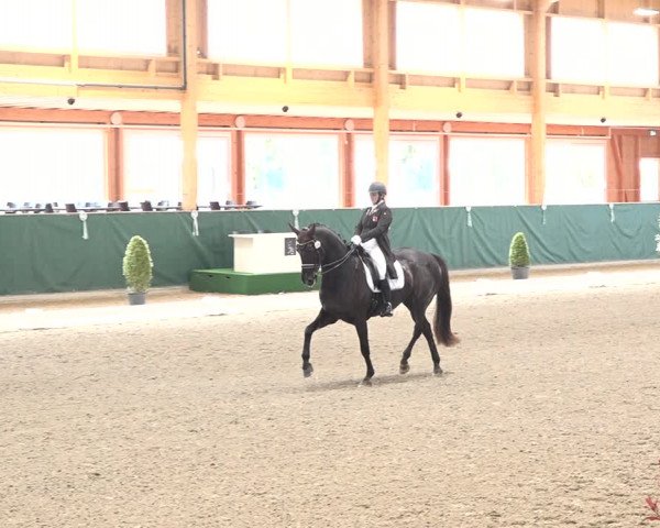 Reitturnier Dielsdorf, Horsepark 2021