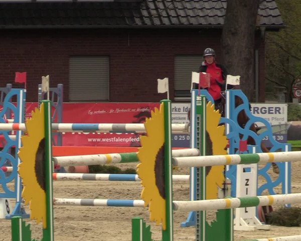 Reitturnier Münster-Handorf 2021