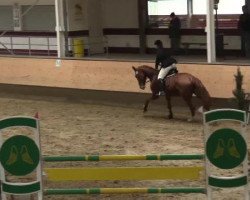 Caballo de salto Princess Peach (Renano, 2006, de Polytraum)