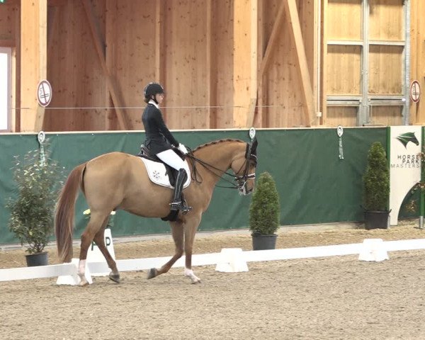 Reitturnier Dielsdorf, Horsepark 2021